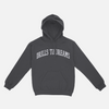 Load image into Gallery viewer, &quot;Varsity&quot; Hoodie (Charcoal)